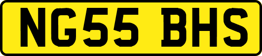 NG55BHS