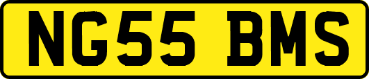 NG55BMS