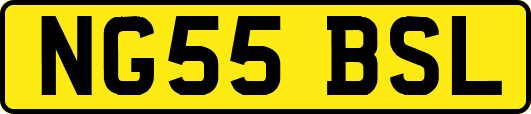 NG55BSL