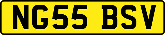 NG55BSV