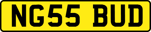NG55BUD