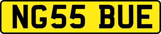 NG55BUE