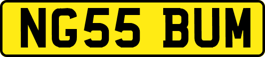 NG55BUM