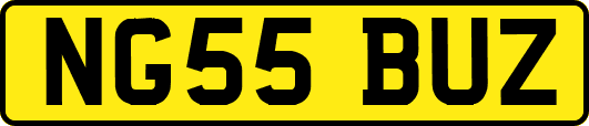 NG55BUZ
