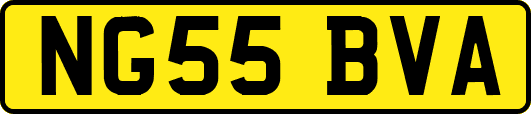 NG55BVA