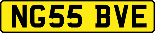 NG55BVE