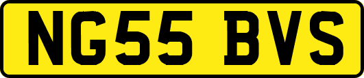 NG55BVS