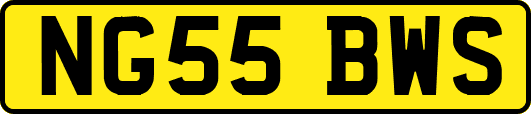 NG55BWS