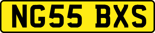 NG55BXS