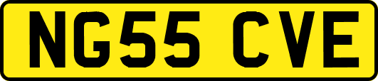 NG55CVE