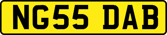 NG55DAB