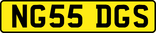 NG55DGS