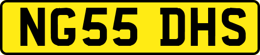 NG55DHS