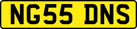 NG55DNS