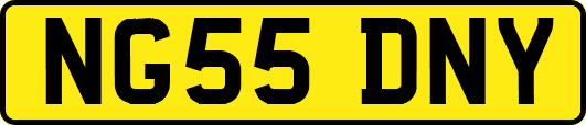 NG55DNY