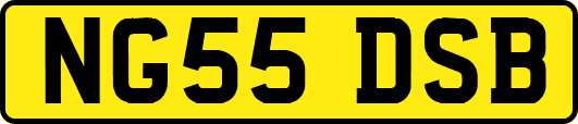 NG55DSB