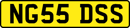 NG55DSS