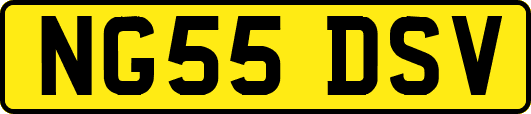 NG55DSV