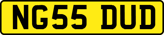 NG55DUD