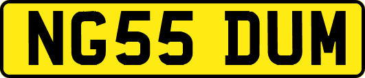NG55DUM