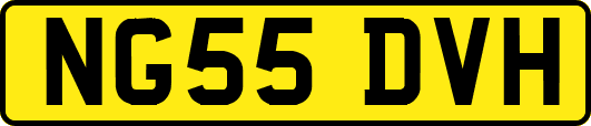 NG55DVH