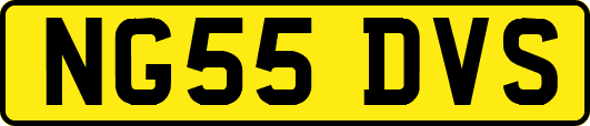 NG55DVS