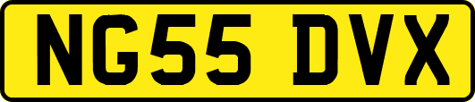 NG55DVX