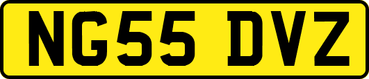 NG55DVZ