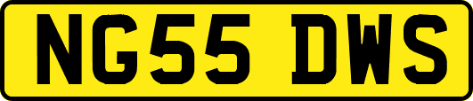 NG55DWS