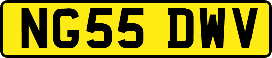NG55DWV