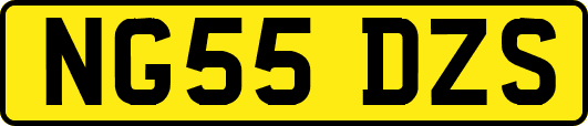 NG55DZS