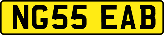NG55EAB