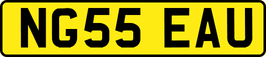 NG55EAU