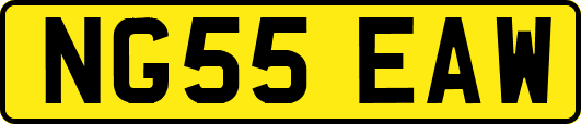 NG55EAW