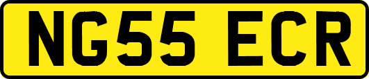 NG55ECR