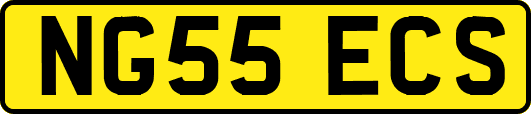 NG55ECS