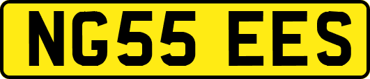 NG55EES