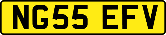NG55EFV