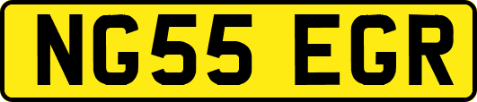 NG55EGR