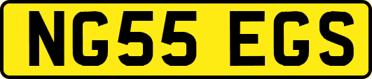 NG55EGS
