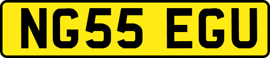 NG55EGU