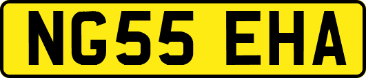 NG55EHA