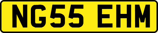 NG55EHM