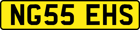 NG55EHS