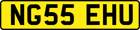 NG55EHU