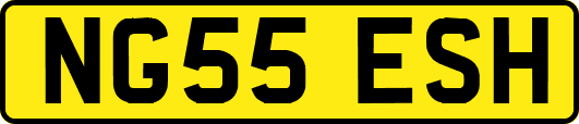 NG55ESH