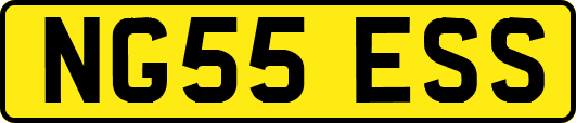 NG55ESS