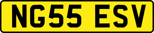 NG55ESV
