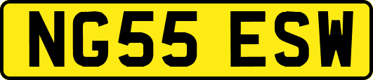NG55ESW