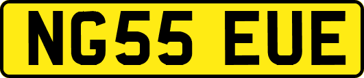 NG55EUE